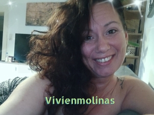 Vivienmolinas