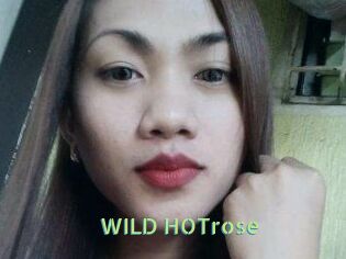 WILD_HOTrose