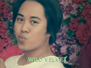 WILD_VELVET