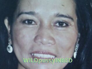 WILDpussyINBED