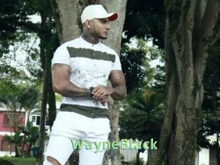 WayneBlack