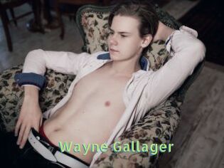 Wayne_Gallager