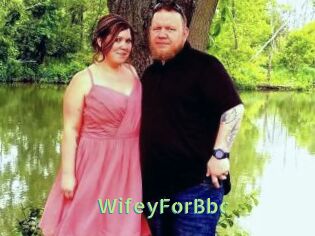 WifeyForBbc