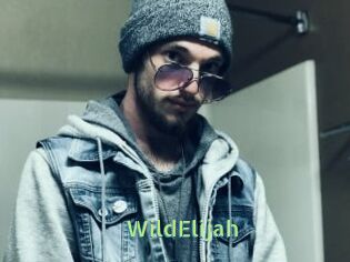 WildElijah