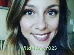 WildFlower023