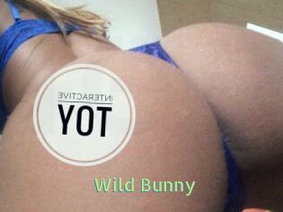 Wild_Bunny_