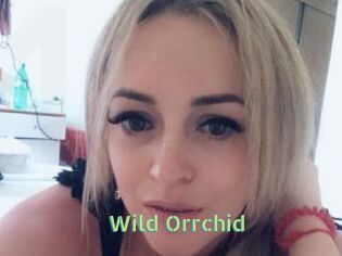 Wild_Orrchid