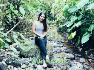 Wild_Rose18