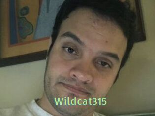 Wildcat315