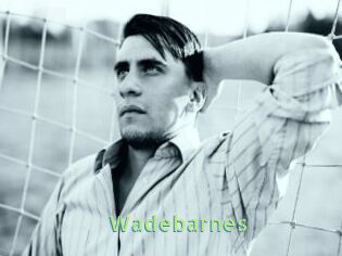Wadebarnes