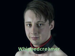 Whippedcreamer
