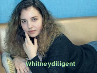 Whitneydiligent