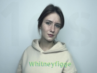 Whitneyfigge