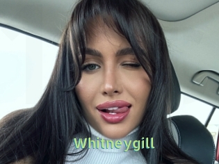 Whitneygill