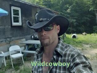 Wildcowboy