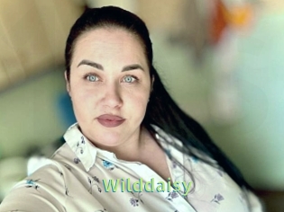 Wilddaisy
