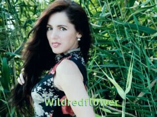 Wildredflower