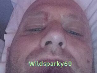 Wildsparky69
