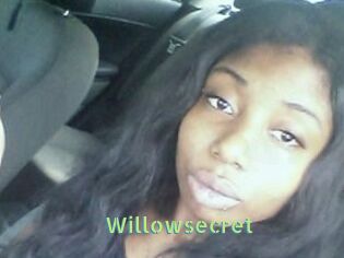 Willow_secret