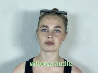 Wilonacaudle