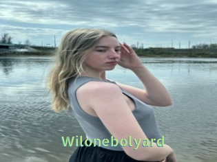 Wilonebolyard