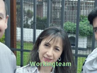 Workingteam