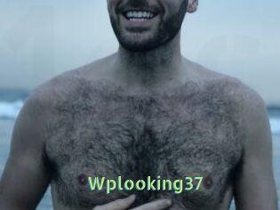 Wplooking37