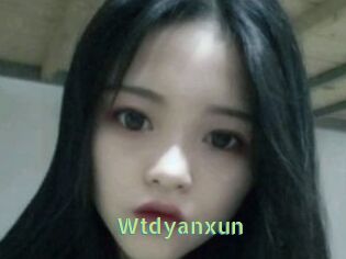 Wtdyanxun