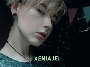 XENIA_JEI