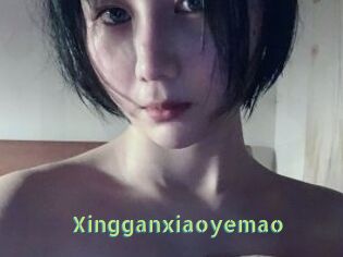 Xingganxiaoyemao