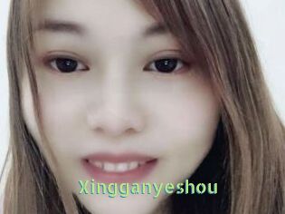 Xingganyeshou