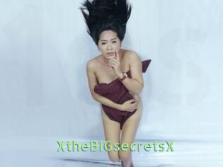XtheBIGsecretsX