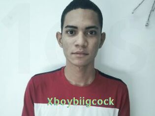 Xboybiigcock
