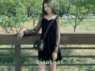Xiaokea1