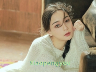 Xiaopengyou