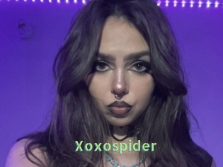 Xoxospider