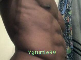 Ygturtle99
