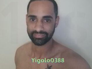 Yigolo0388