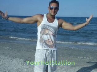 YourHotStallion