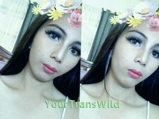 YourTransWild
