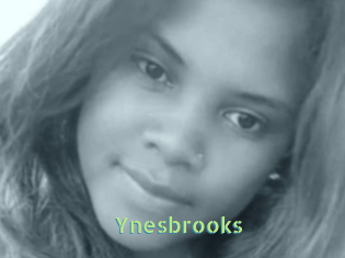 Ynesbrooks
