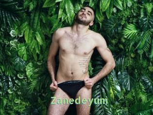 Zanedeyum
