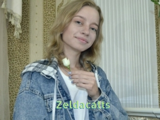 Zeldacatts