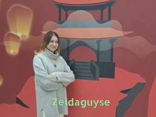 Zeldaguyse