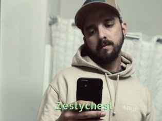Zestychest