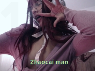 Zhaocai_mao