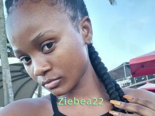 Ziebea22