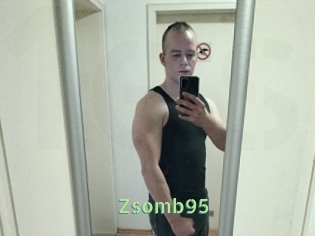 Zsomb95